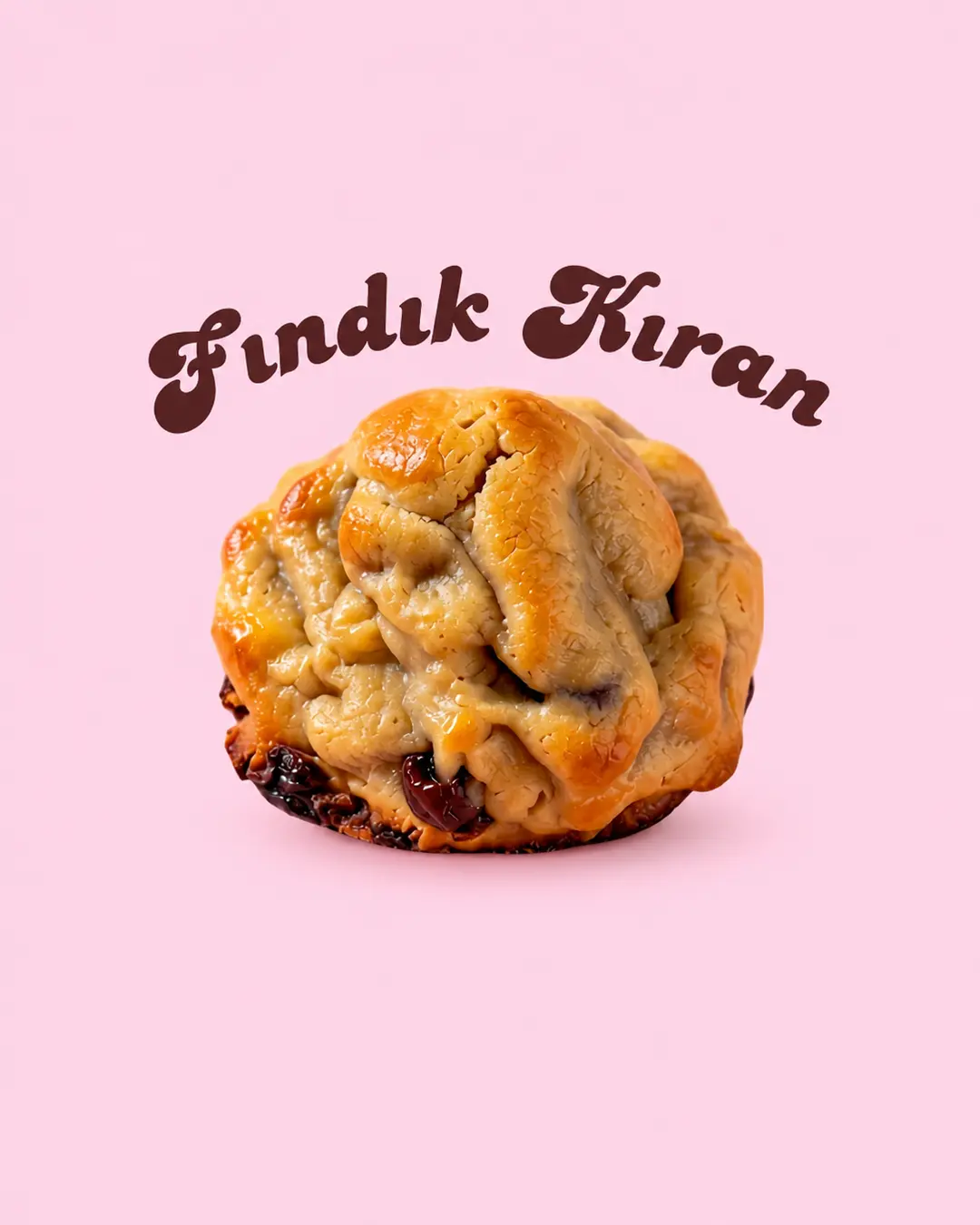 Fındık Kıran · Dış görünüş